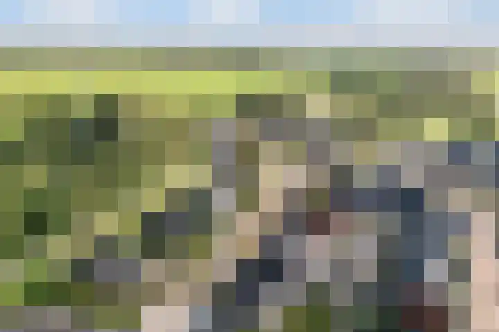 Hendrik Evinkstraat 27 Wilsum thumbnail 33
