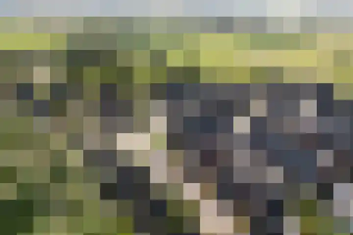 Hendrik Evinkstraat 27 Wilsum thumbnail 34