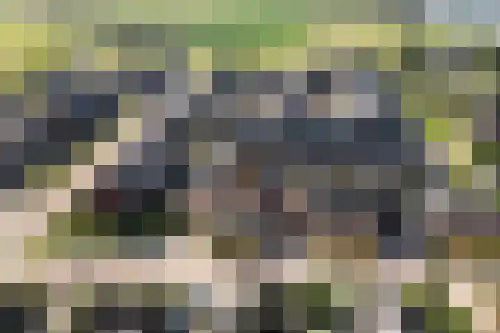 Hendrik Evinkstraat 27 Wilsum thumbnail 35