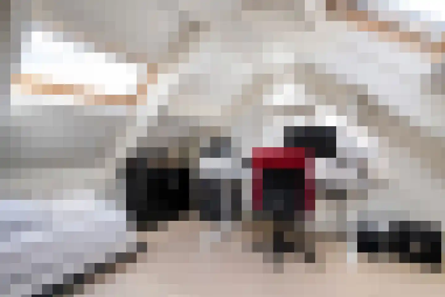 Hendrik Evinkstraat 37 Wilsum thumbnail 39