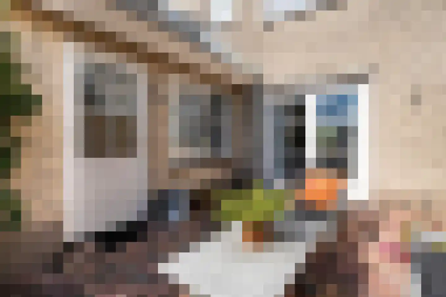 Hendrik Evinkstraat 37 Wilsum thumbnail 47