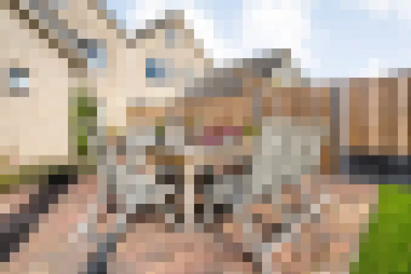 Hendrik Evinkstraat 37 Wilsum thumbnail 49