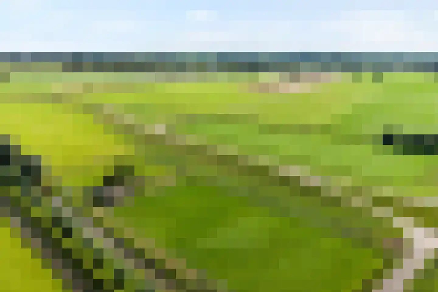 Hendrik Evinkstraat 37 Wilsum thumbnail 60