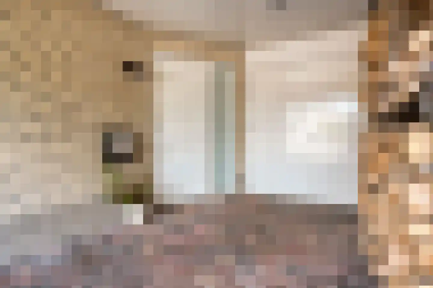 Hendrik Evinkstraat 37 Wilsum thumbnail 7