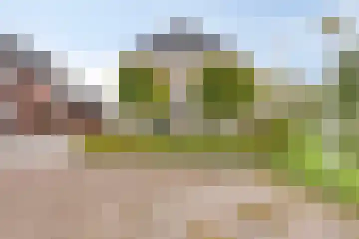 Hendrik Evinkstraat 45 Wilsum thumbnail 27