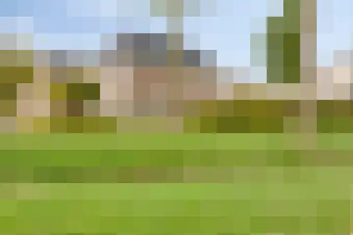 Hendrik Evinkstraat 45 Wilsum thumbnail 28