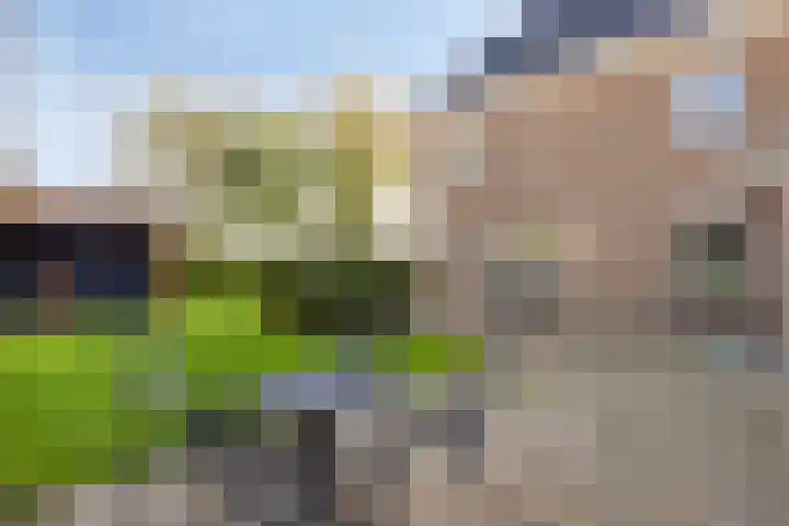 Hendrik Evinkstraat 45 Wilsum thumbnail 32