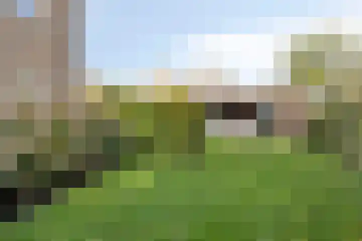 Hendrik Evinkstraat 45 Wilsum thumbnail 35