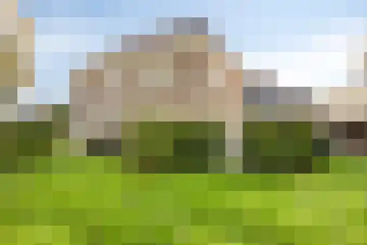 Hendrik Evinkstraat 45 Wilsum thumbnail 36