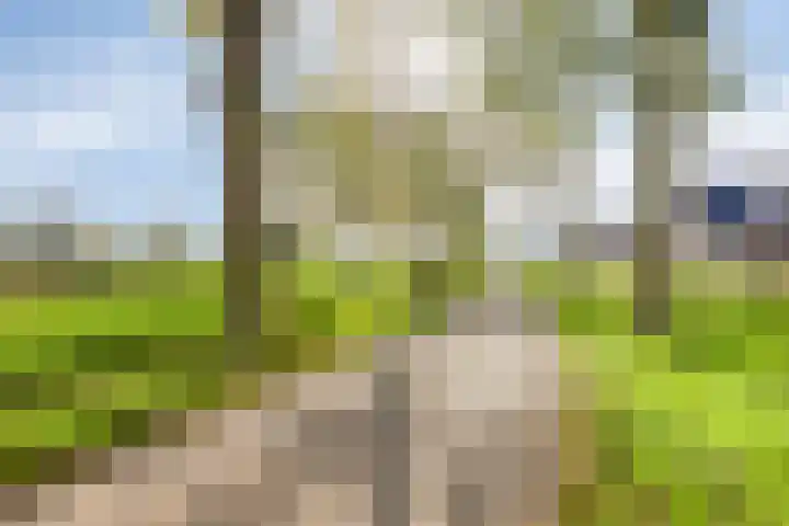 Hendrik Evinkstraat 45 Wilsum thumbnail 37