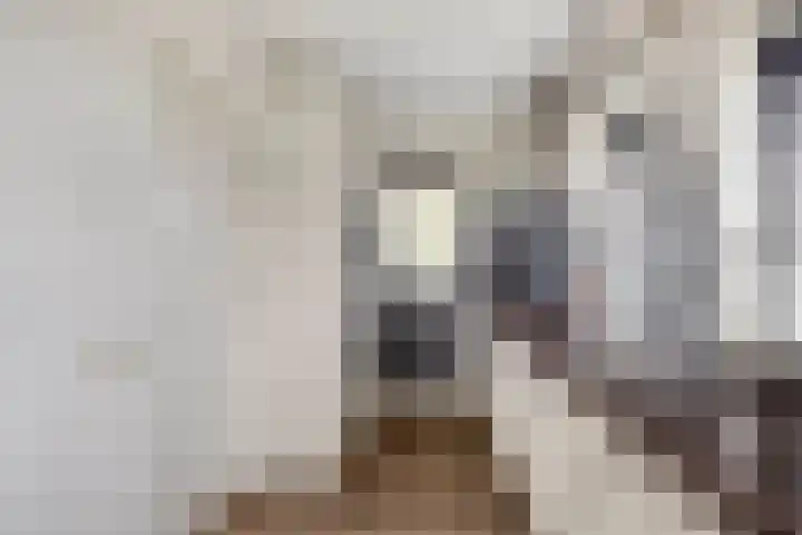 Hendrik Evinkstraat 45 Wilsum thumbnail 9
