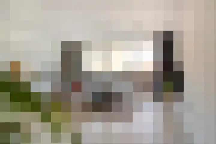 Hendrik Gerard Dirckxstraat 16 B Roosendaal thumbnail 5