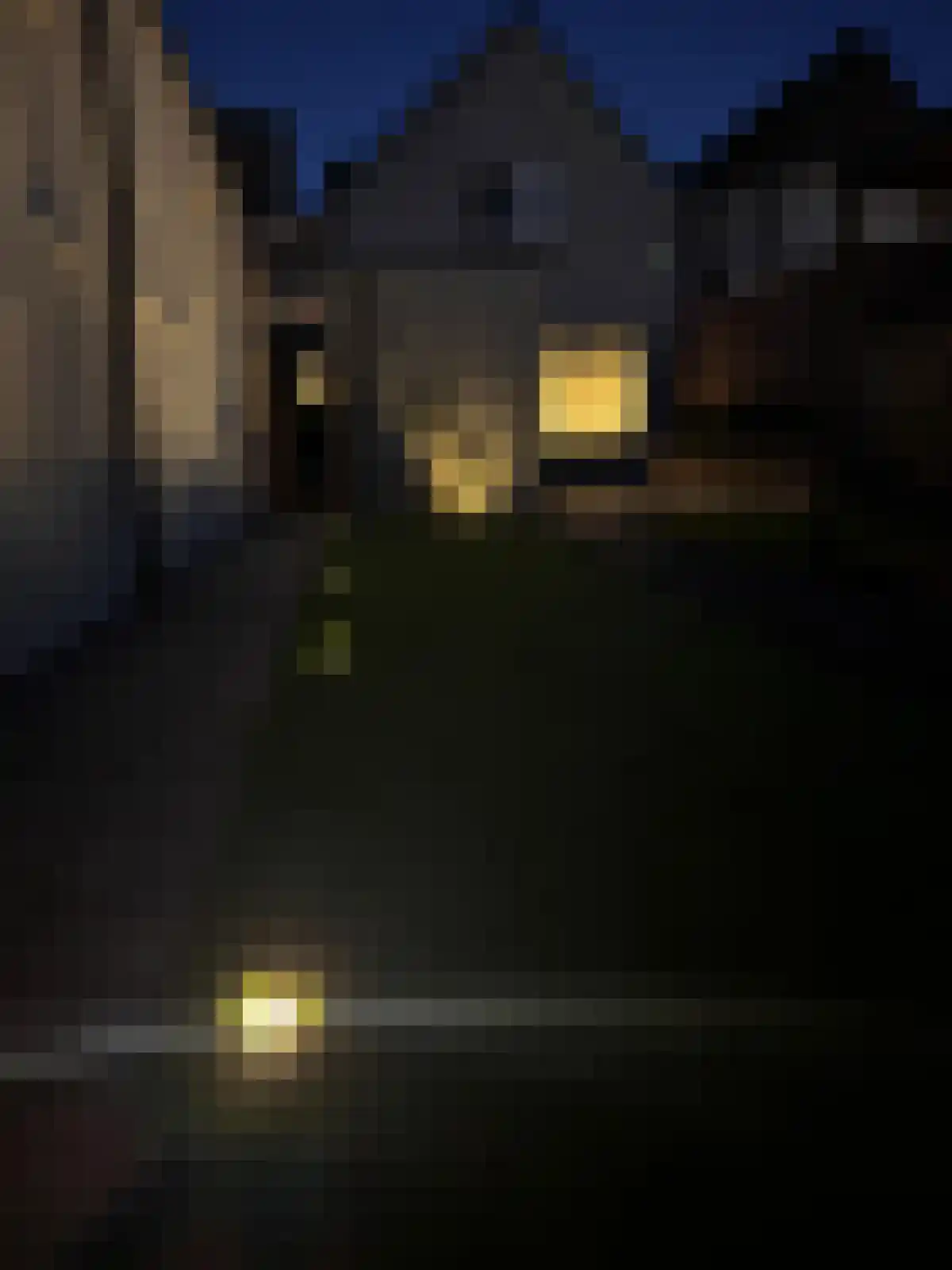 Hendrik Gerard Dirckxstraat 28 Roosendaal thumbnail 51