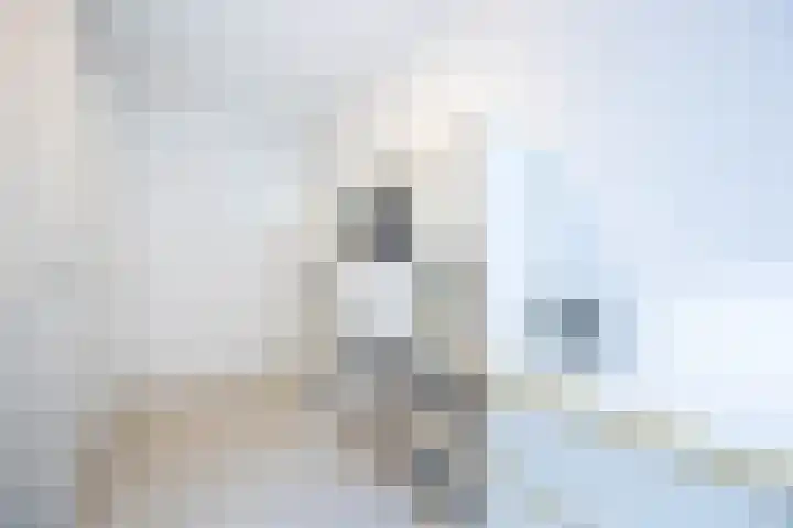 Hendrik Gerard Dirckxstraat 4 Roosendaal thumbnail 31