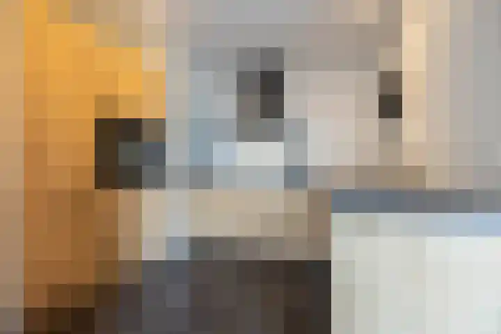 Hendrik Gerard Dirckxstraat 4 Roosendaal thumbnail 4