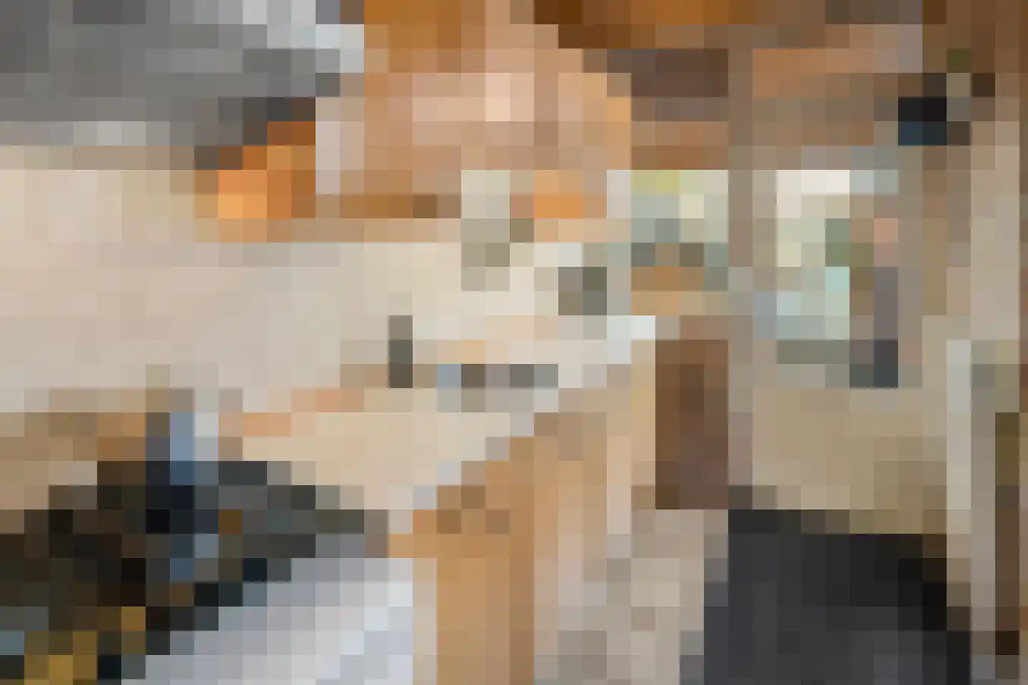 Hendrik Gerard Dirckxstraat 50 Roosendaal thumbnail 12