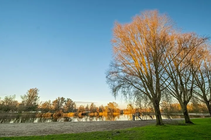 Hendrik Godfroidhof 9 Amsterdam thumbnail 33