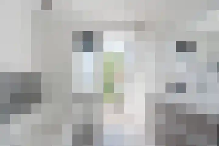 Hendrik Goebelstraat 10 Bodegraven thumbnail 21
