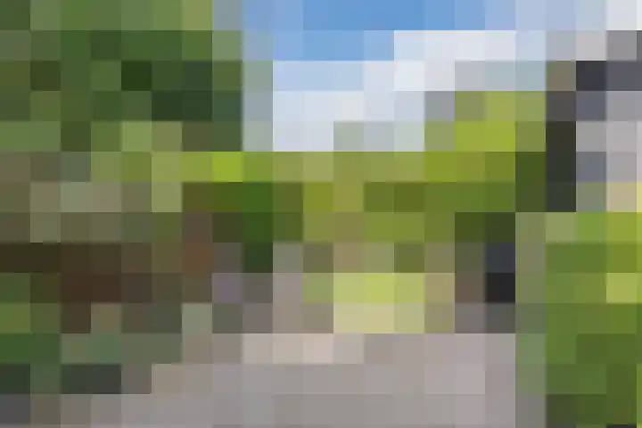 Hendrik Goebelstraat 10 Bodegraven thumbnail 32