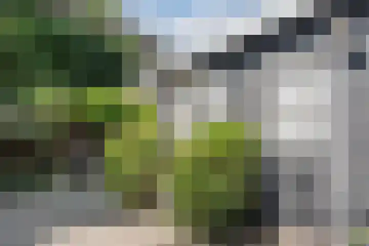 Hendrik Goebelstraat 10 Bodegraven thumbnail 33