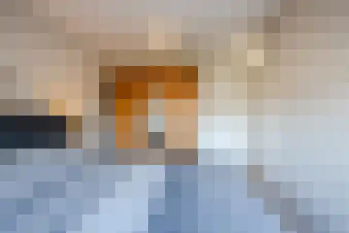 Hendrik Goltziusstraat 28 Meppel thumbnail 16