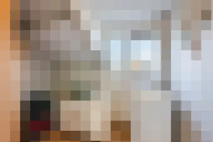 Hendrik Goltziusstraat 28 Meppel thumbnail 22