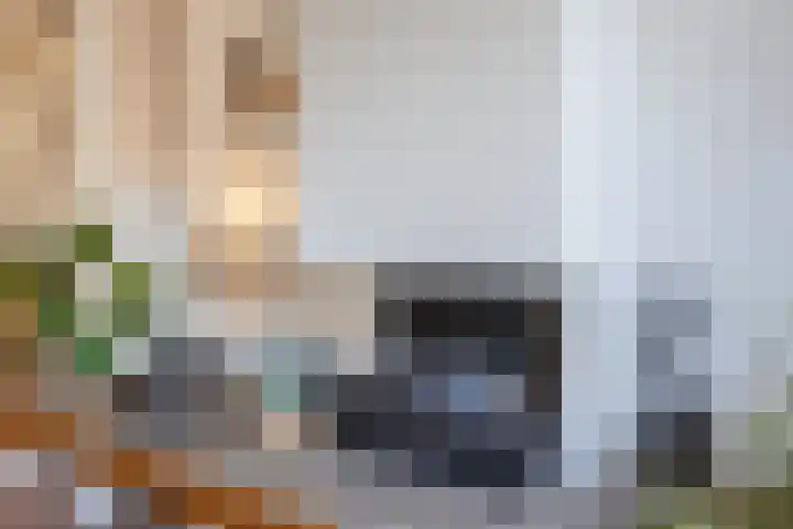 Hendrik Goltziusstraat 28 Meppel thumbnail 5