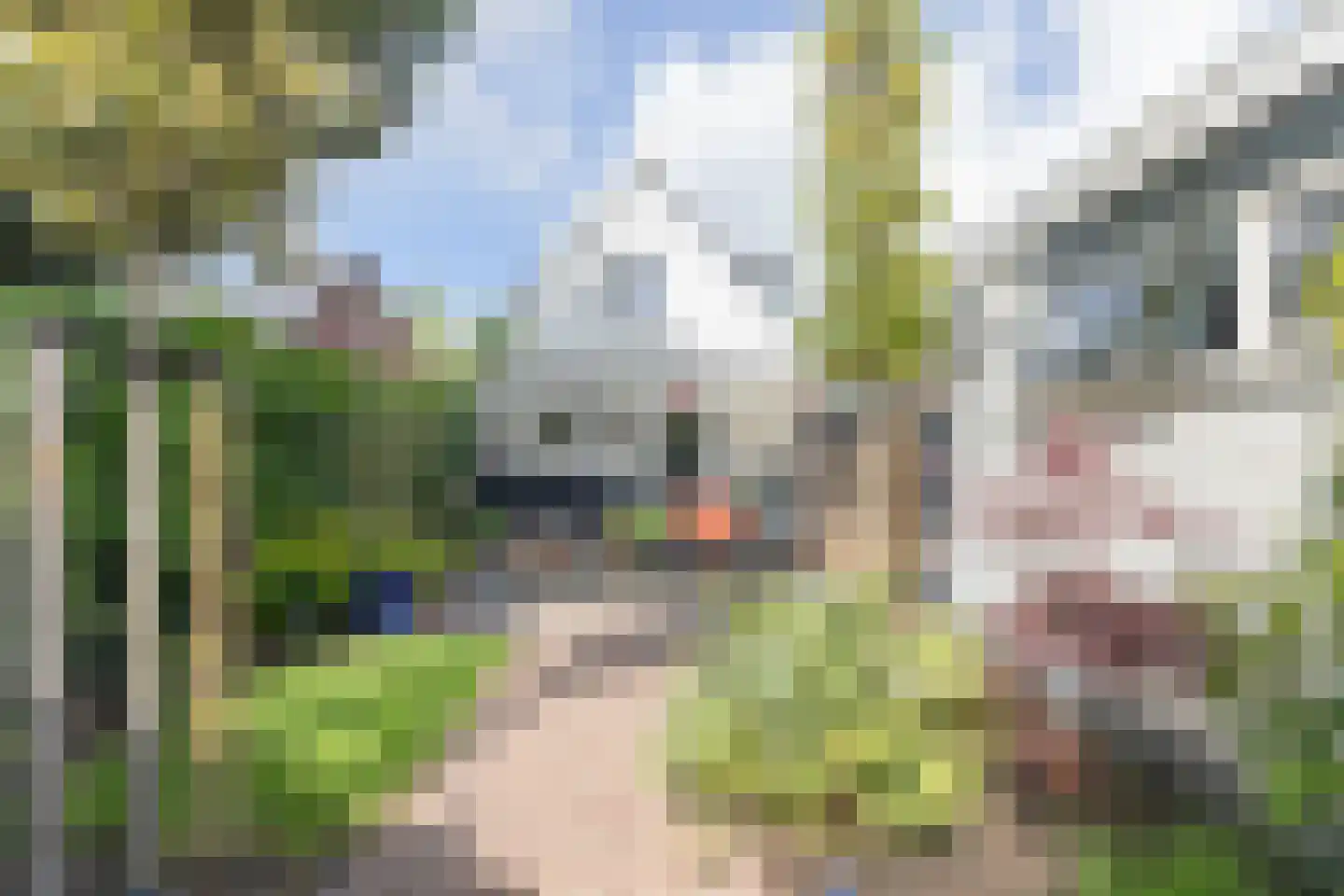 Hendrik Hamerstraat 20 's-Gravendeel thumbnail 45