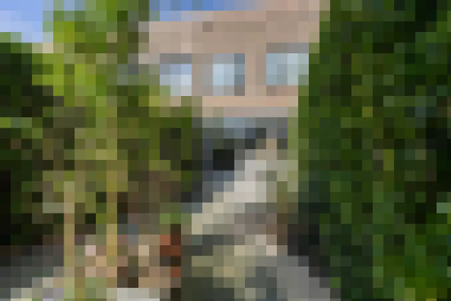Hendrik Hamerstraat 67 's-Gravendeel thumbnail 28