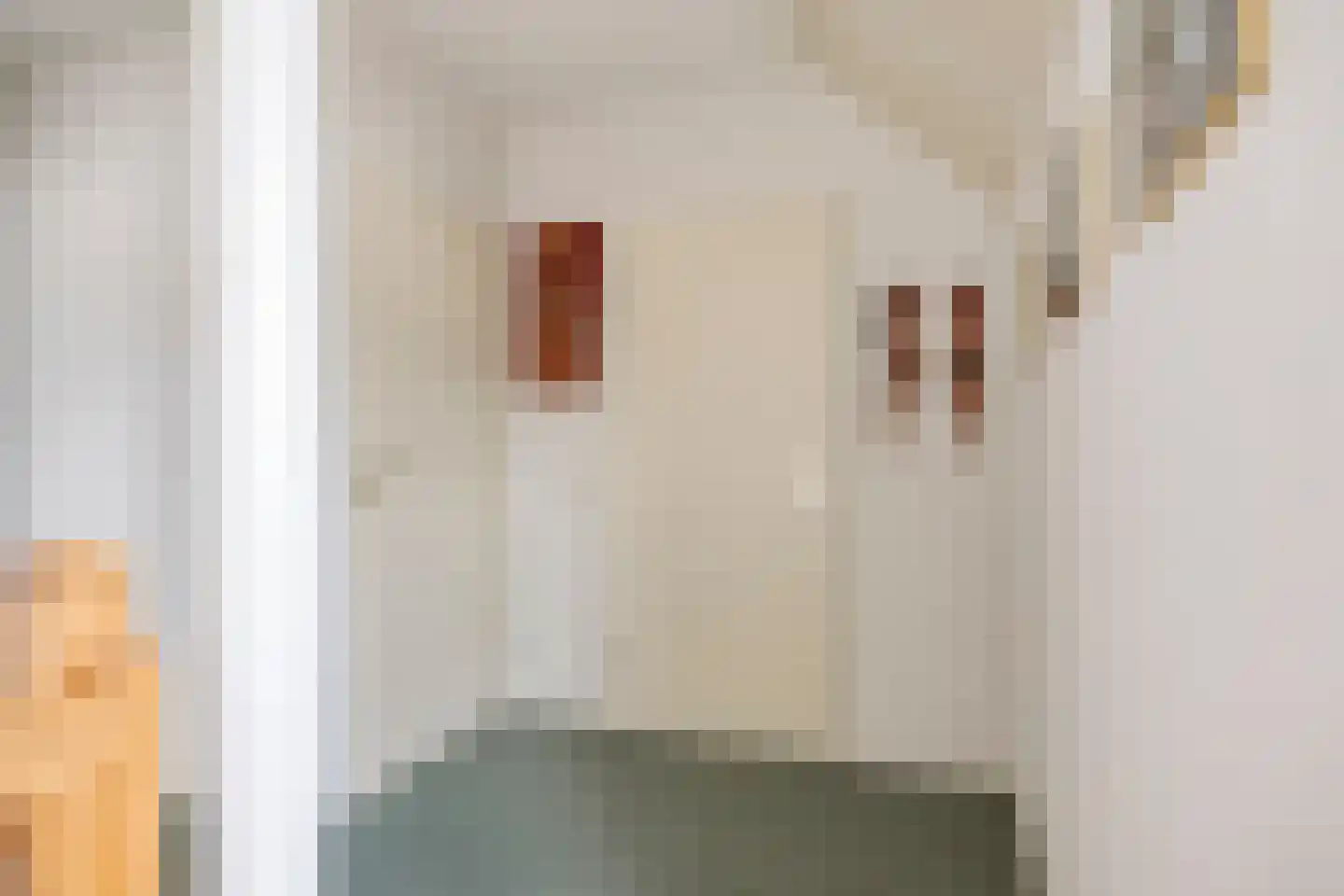 Hendrik Herpstraat 4 Erp thumbnail 34