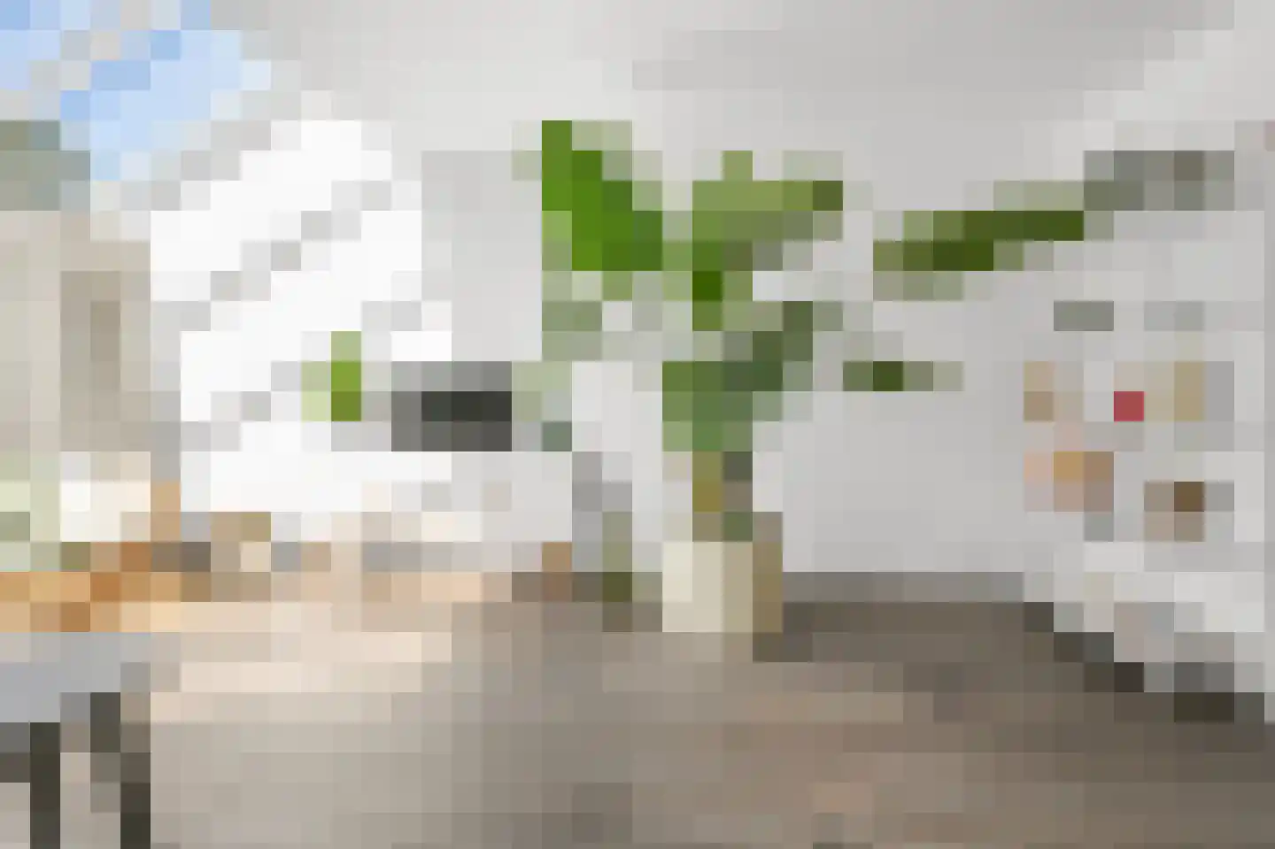 Hendrik Hosstraat 19 Amsterdam thumbnail 12