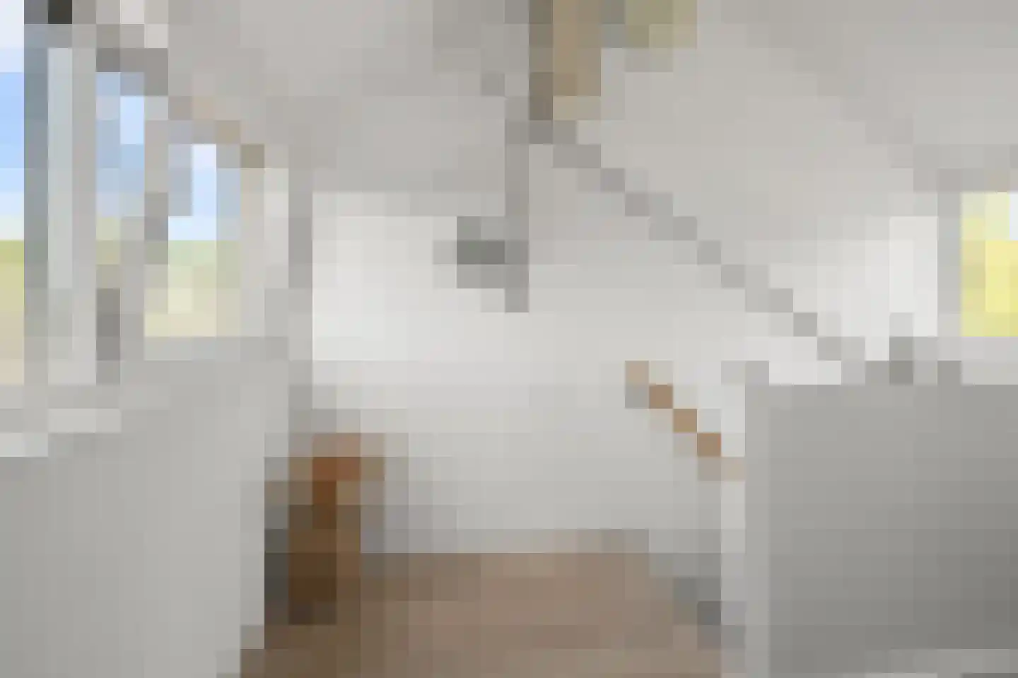 Hendrik Hosstraat 19 Amsterdam thumbnail 27