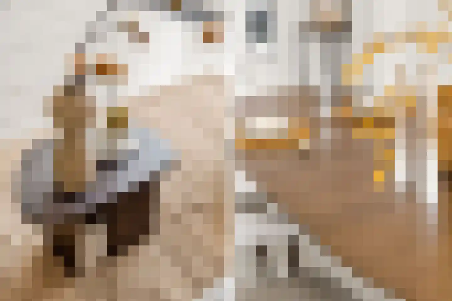 Hendrik Hosstraat 34 Amsterdam thumbnail 17