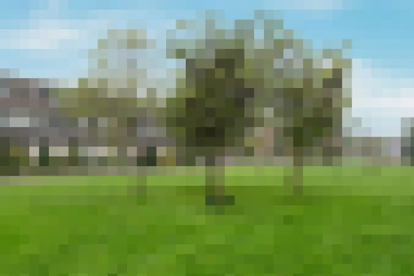 Hendrik Hosstraat 34 Amsterdam thumbnail 57