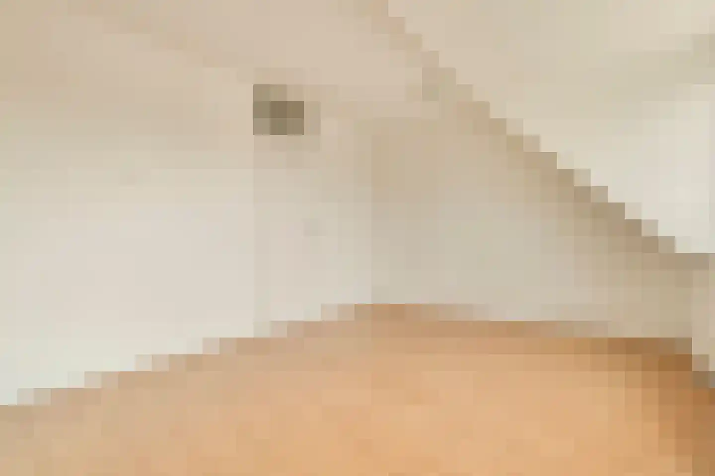 Hendrik Hosstraat 62 Amsterdam thumbnail 33