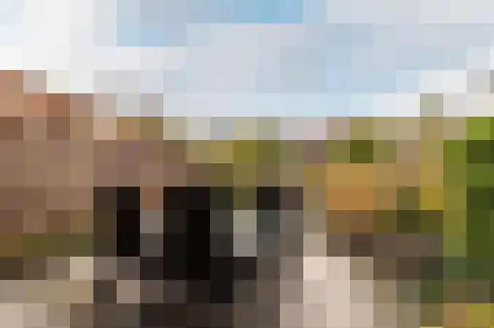 Hendrik IJzerbrootlaan 15 Almere thumbnail 30
