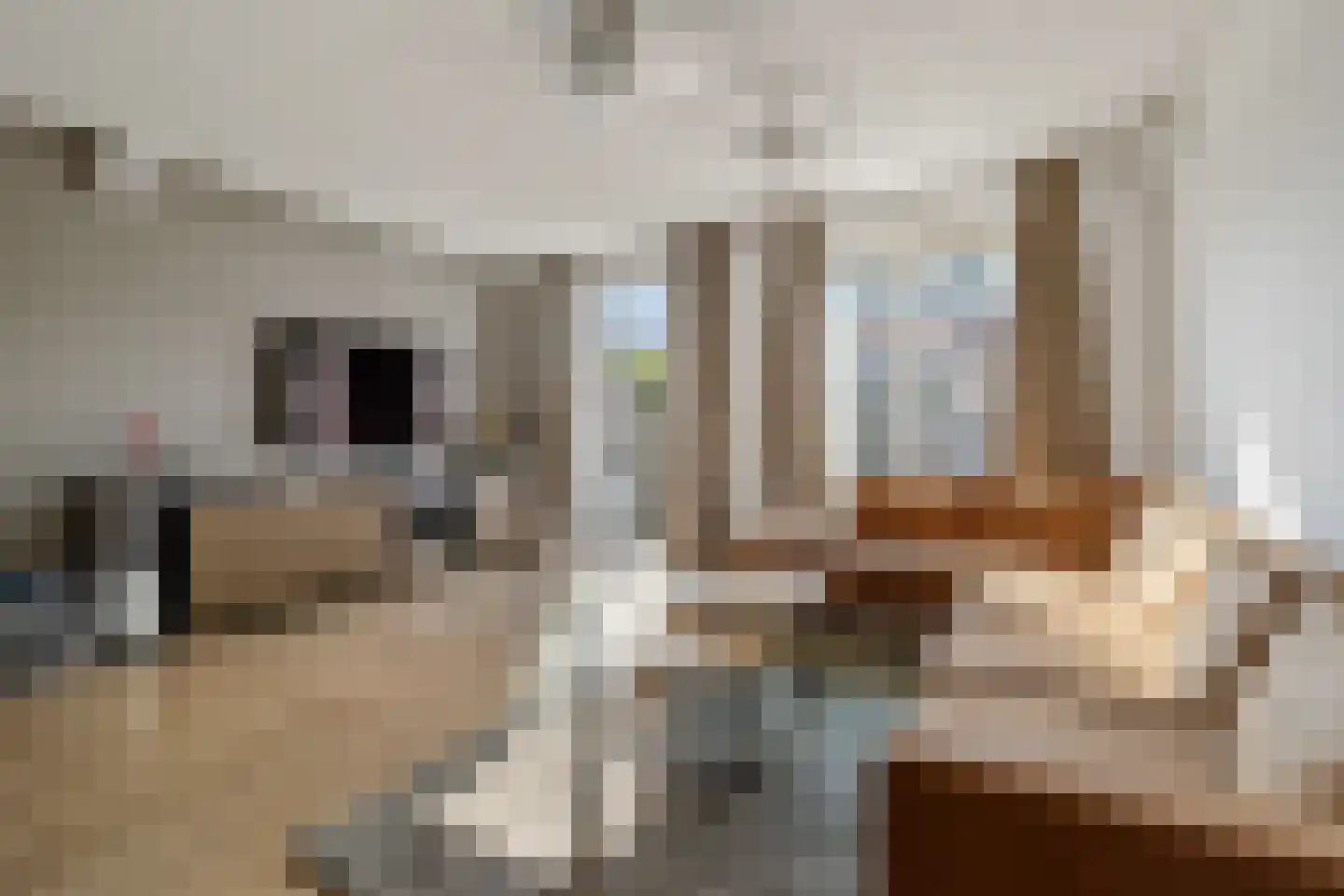 Hendrik IJzerbrootlaan 34 Almere thumbnail 5