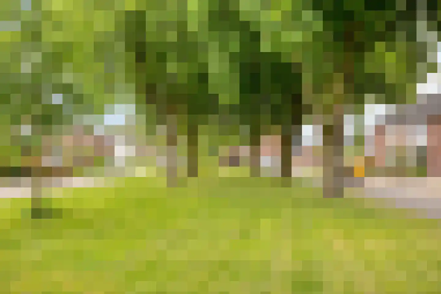 Hendrik IV straat 17 Weert thumbnail 29