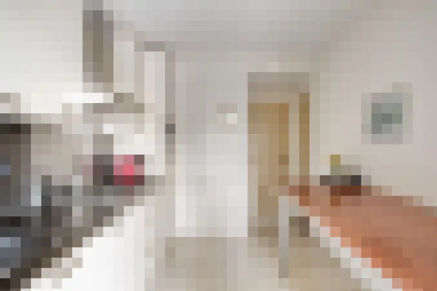 Hendrik IV straat 17 Weert thumbnail 9