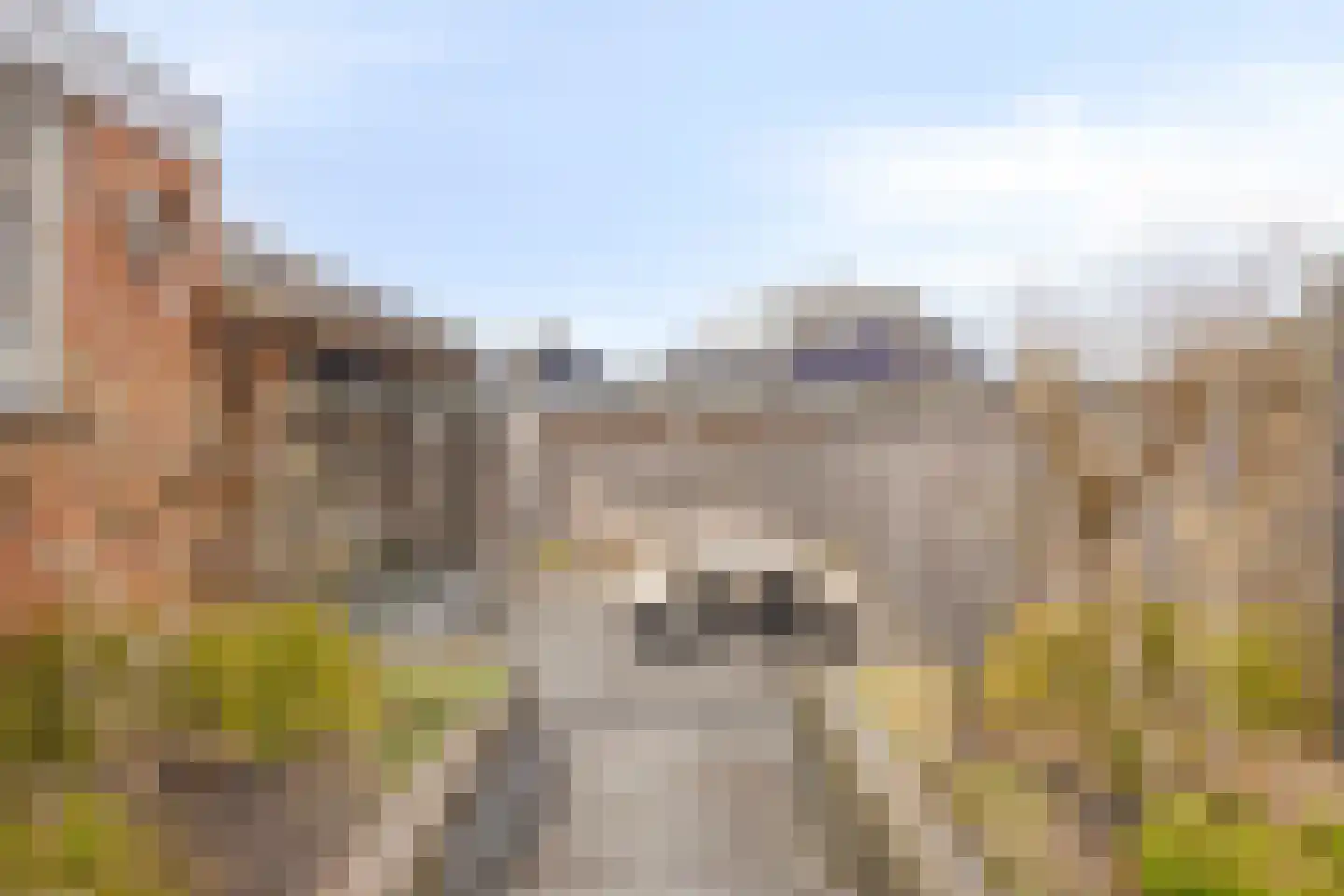 Hendrik Jan van Opstallstraat 50 Rijssen thumbnail 36