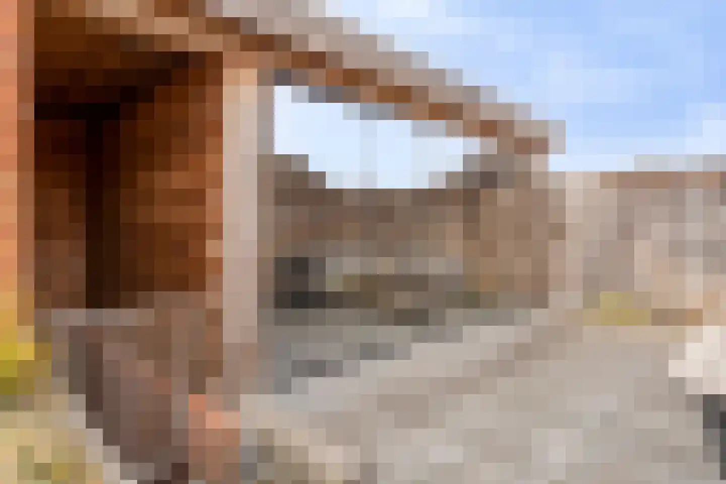 Hendrik Jan van Opstallstraat 50 Rijssen thumbnail 38