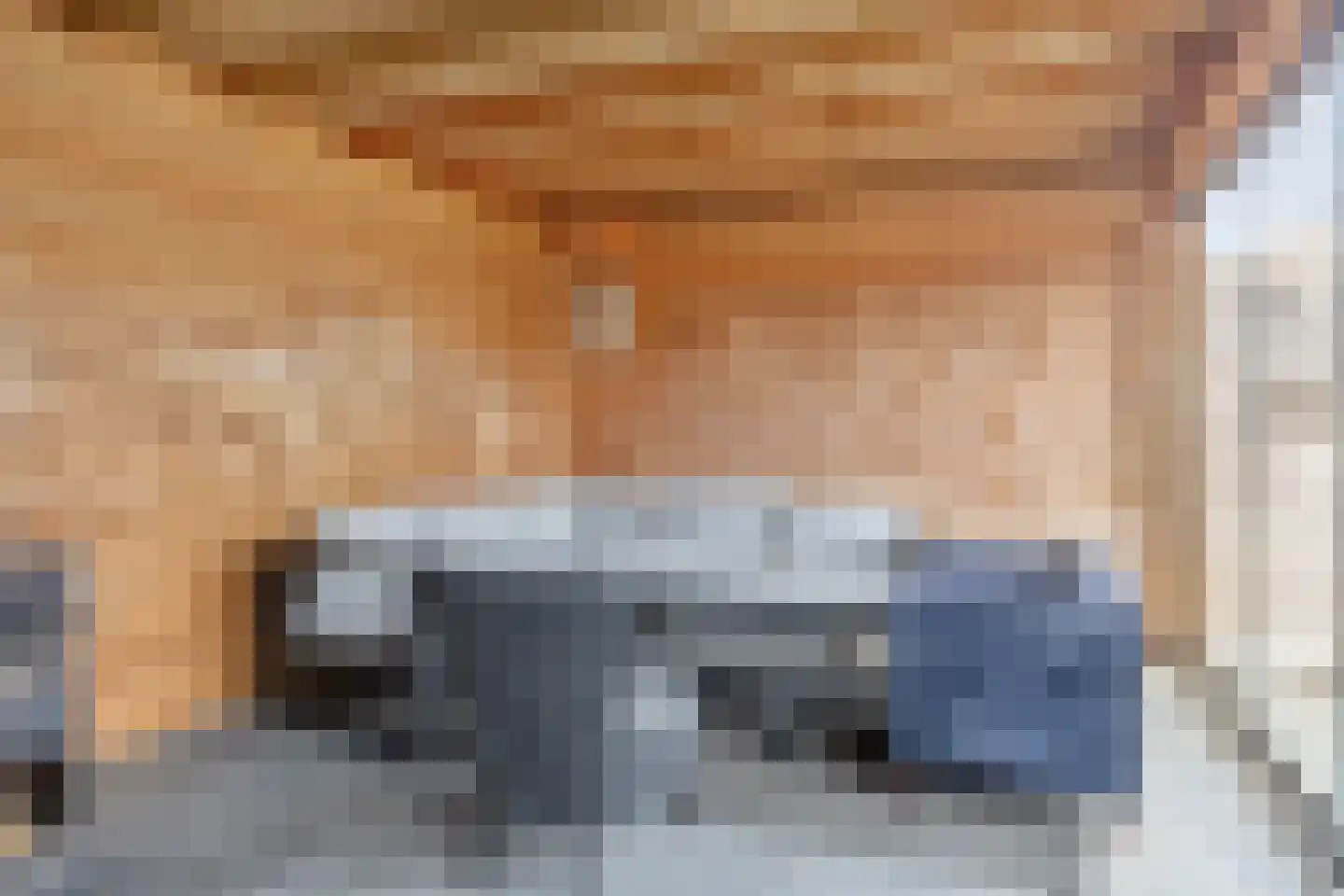 Hendrik Jan van Opstallstraat 50 Rijssen thumbnail 40