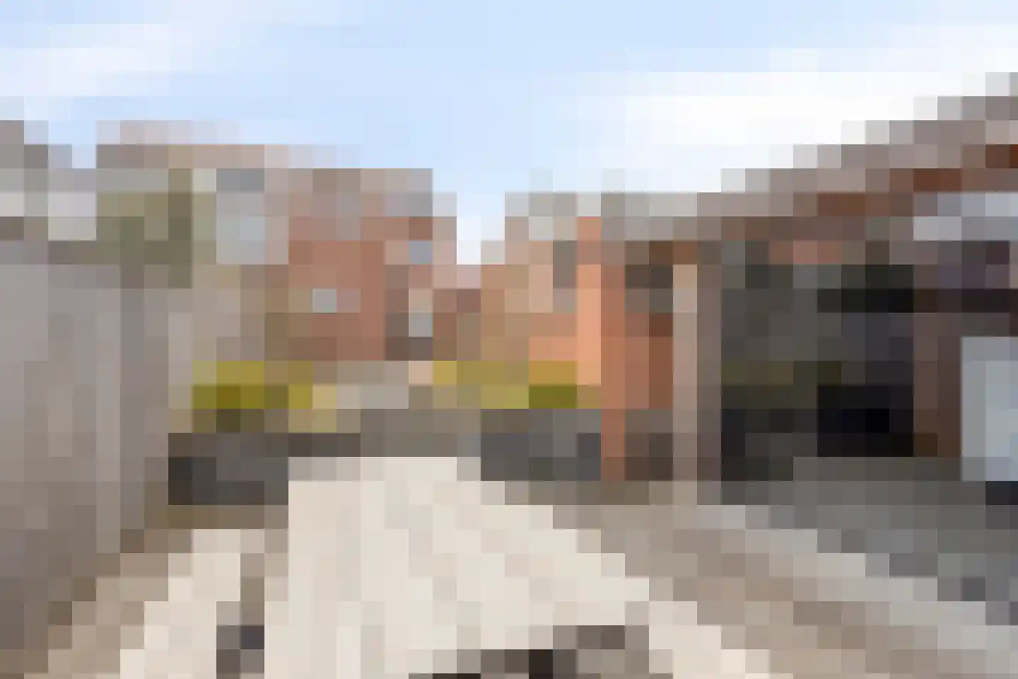 Hendrik Jan van Opstallstraat 50 Rijssen thumbnail 42