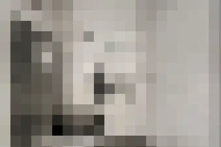 Hendrik Jesselaan 1 Oegstgeest thumbnail 11
