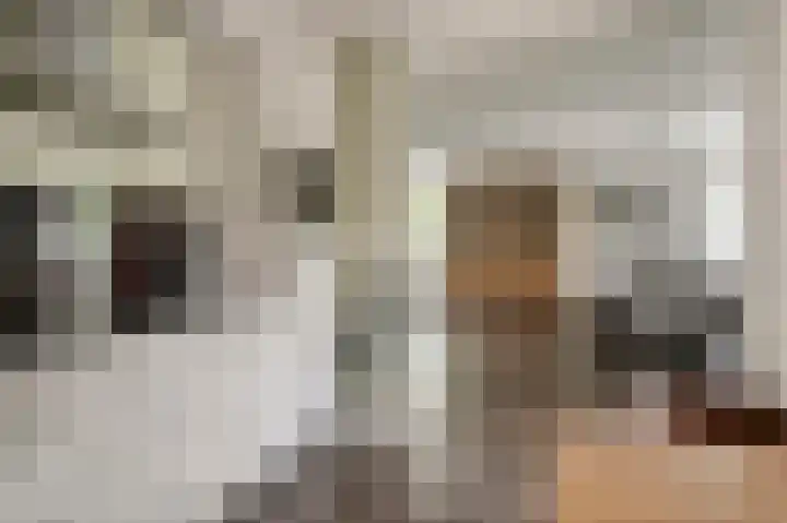 Hendrik Jesselaan 1 Oegstgeest thumbnail 27