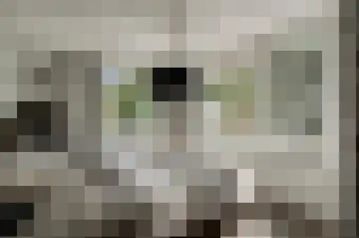 Hendrik Jesselaan 1 Oegstgeest thumbnail 29