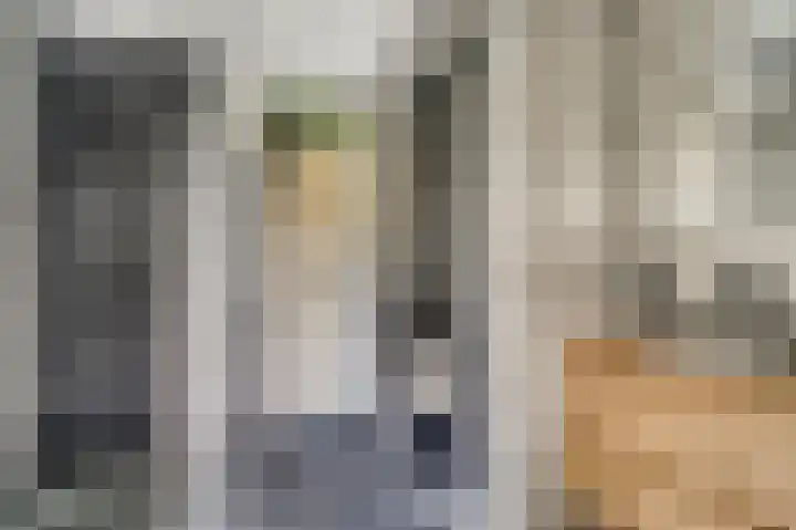 Hendrik Jesselaan 1 Oegstgeest thumbnail 33