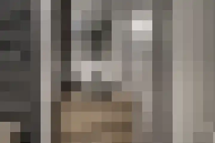 Hendrik Jesselaan 1 Oegstgeest thumbnail 34