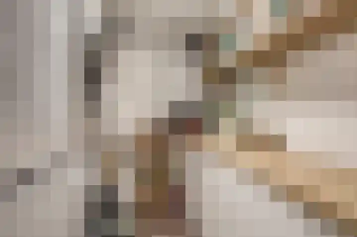 Hendrik Jesselaan 1 Oegstgeest thumbnail 36