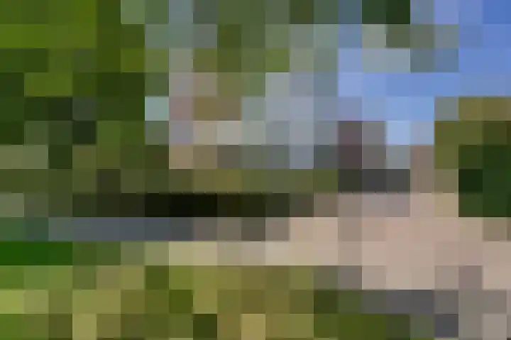Hendrik Jesselaan 1 Oegstgeest thumbnail 39